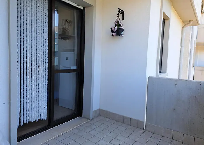 Ciao * ביביונה